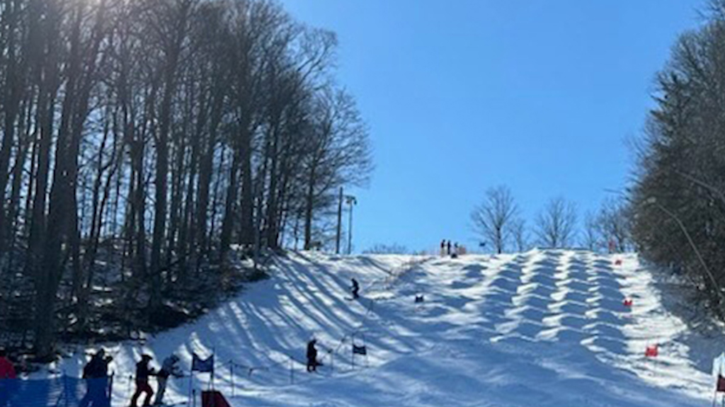 A mogul course on a sunny winter day.